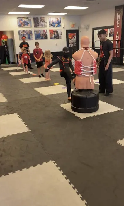 Warrior Martial Arts & Fitness Picture 3