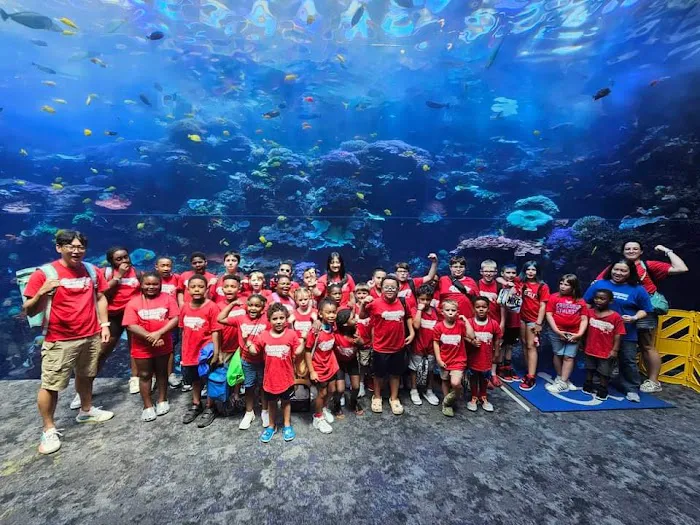 KMA Taekwondo Picture 8