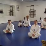Georgia Taekwondo & Hapkido Association