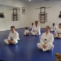 Georgia Taekwondo & Hapkido Association ico