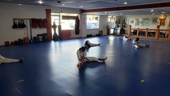 Georgia Taekwondo & Hapkido Association Picture 3