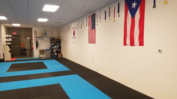 Joaquin Taekwondo Center | Powder Springs, GA Picture 5