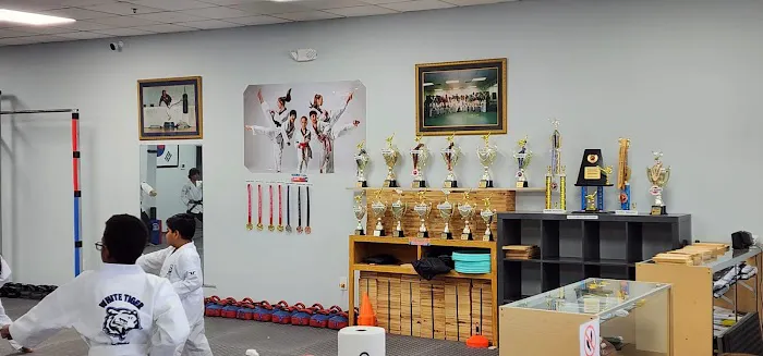 Baek Ho Tae Kwon Do White Tiger Picture 1