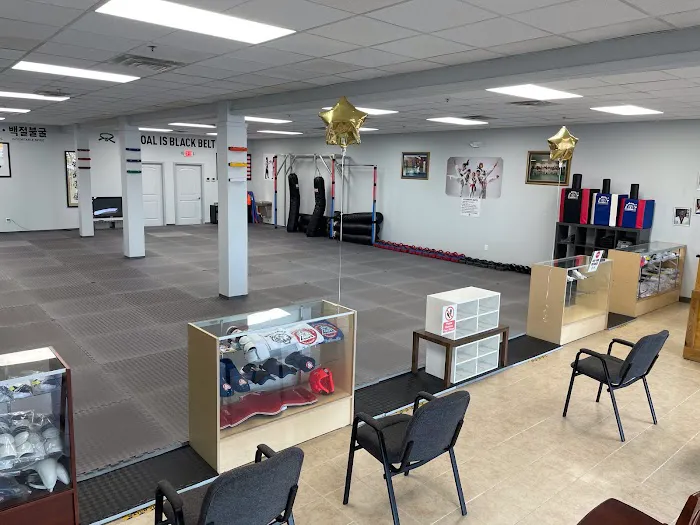 Baek Ho Tae Kwon Do White Tiger Picture 6