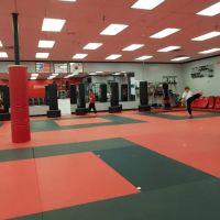 Karate Atlanta Duluth ico