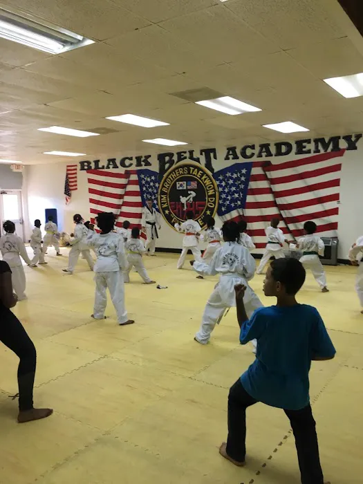 Kim Brothers Tae Kwon Do (After School Program) Picture 2