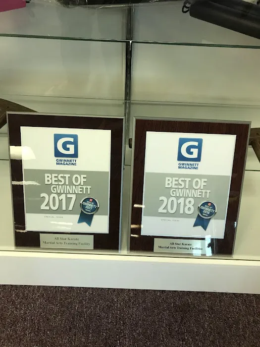 All Star Karate Picture 7