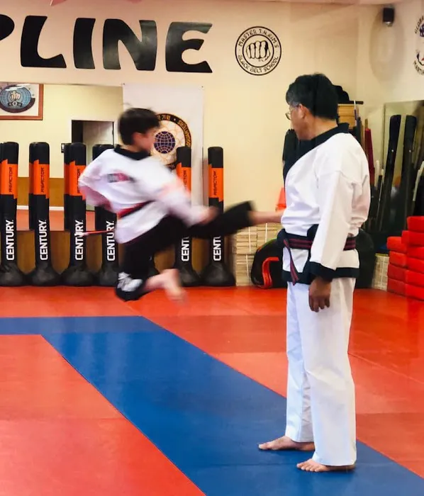 Global Karate Picture 2