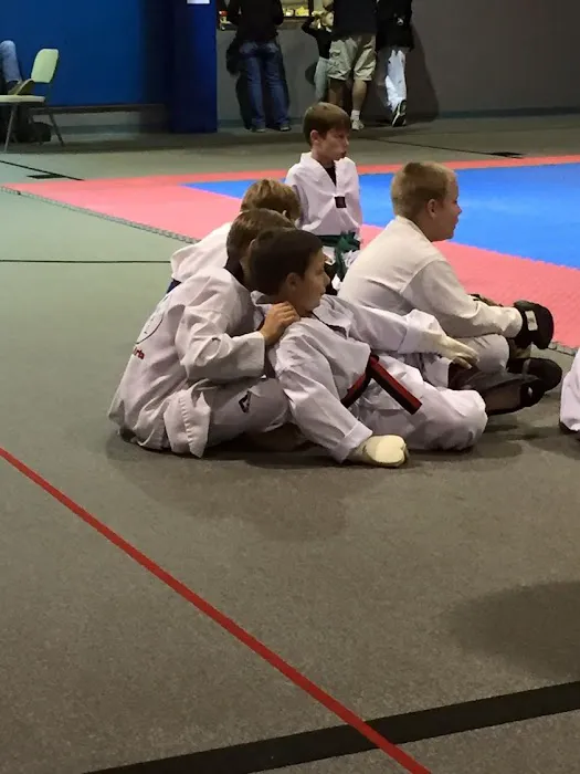 Global Karate Picture 3