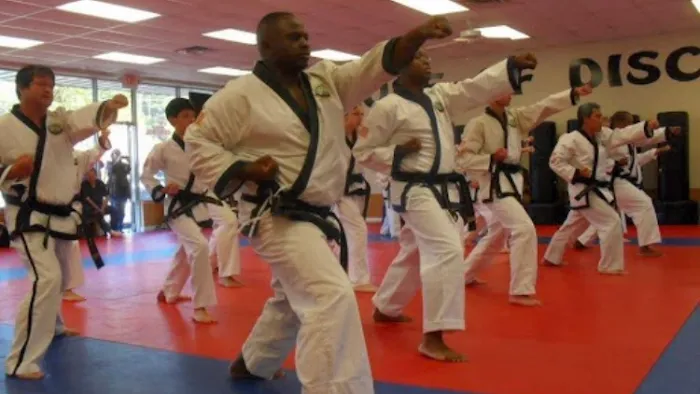 Global Karate Picture 7