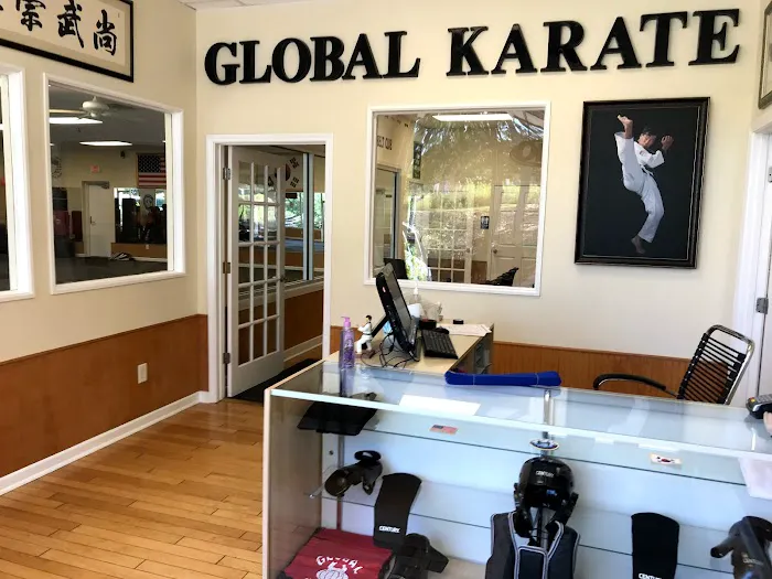 Global Karate Picture 10