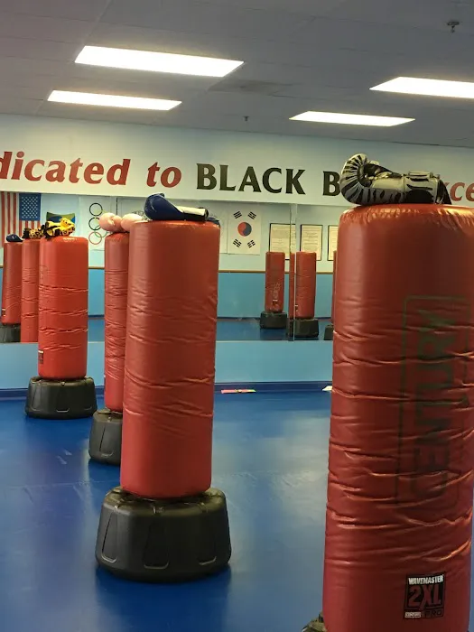 USA Tae Kwon Do Academy Inc Picture 1