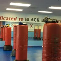 USA Tae Kwon Do Academy Inc ico