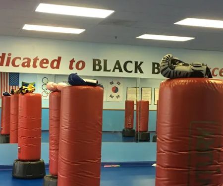 USA Tae Kwon Do Academy Inc