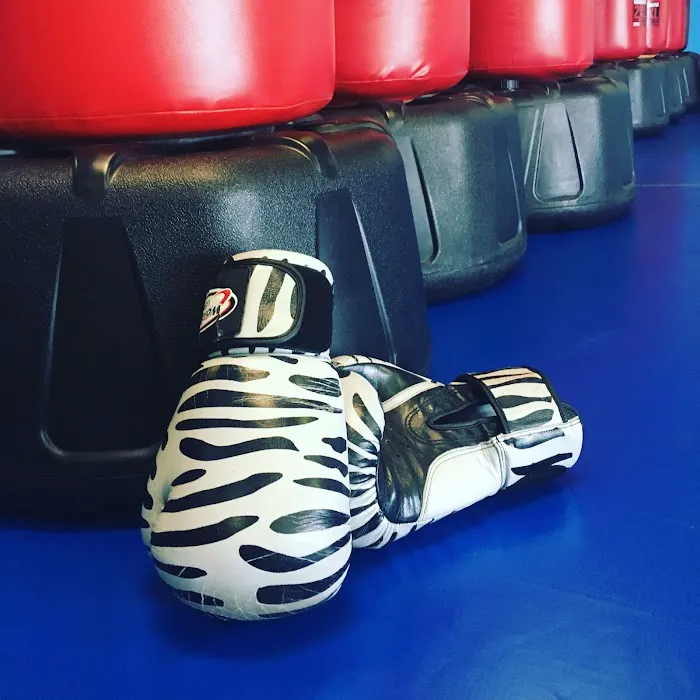 USA Tae Kwon Do Academy Inc Picture 2