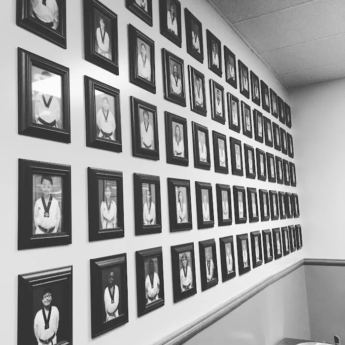 USA Tae Kwon Do Academy Inc Picture 3