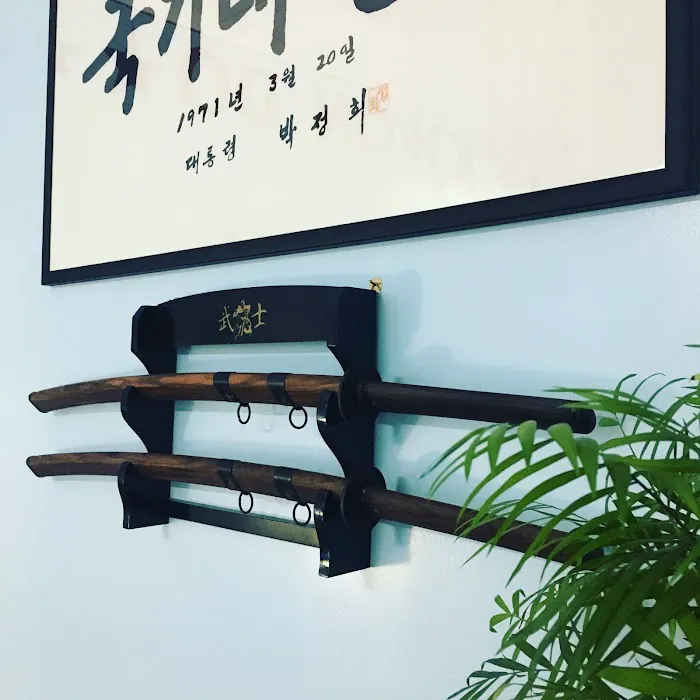 USA Tae Kwon Do Academy Inc Picture 8