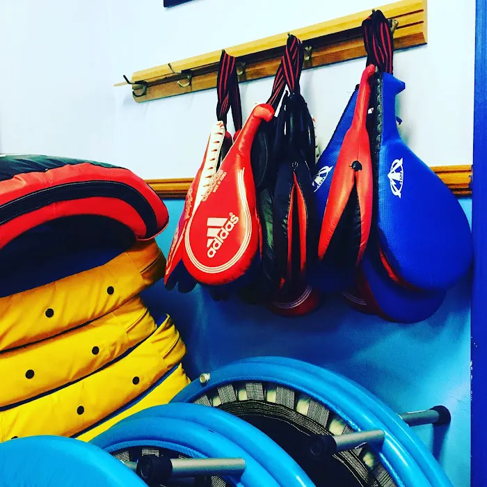 USA Tae Kwon Do Academy Inc Picture 7