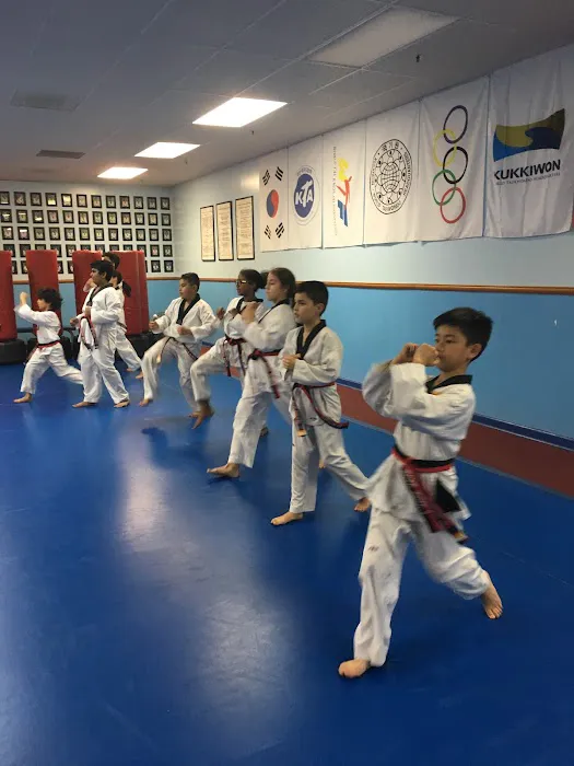USA Tae Kwon Do Academy Inc Picture 9