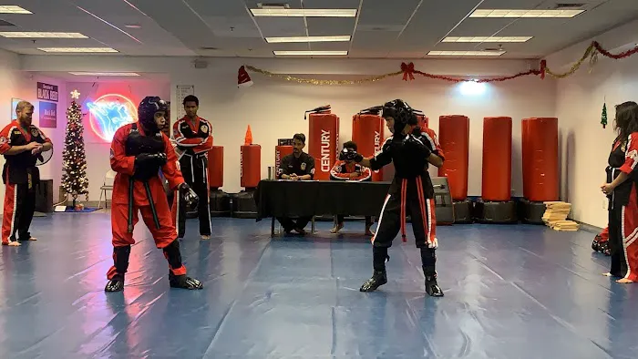 Choe's HapKiDo Martial Arts, Karate, Kickboxing Duluth GA Picture 2