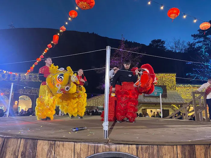 Phoenix Wellness Arts (PWA) Picture 1