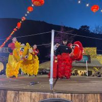 Phoenix Wellness Arts (PWA) ico