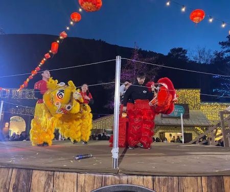 Phoenix Wellness Arts (PWA)