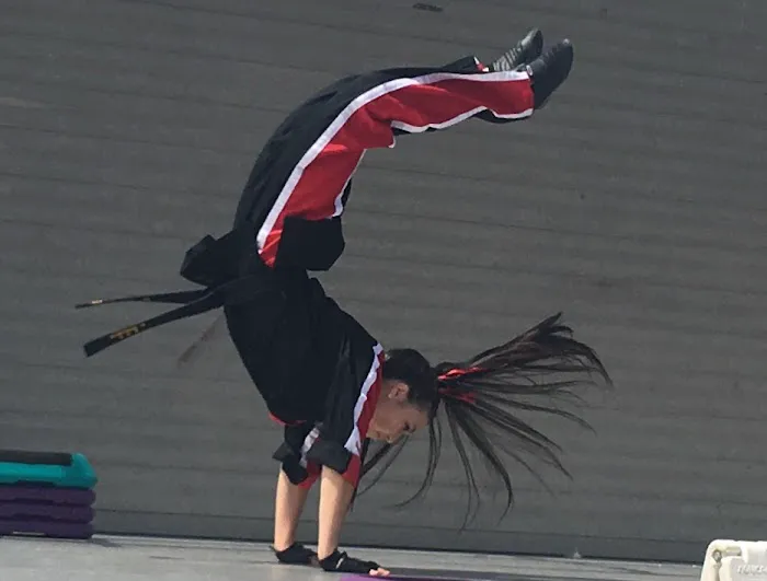 ETO Martial Arts & Fitness Picture 6