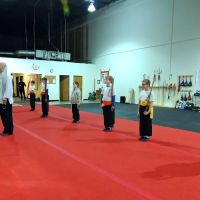 Atlanta Kung Fu & Sanda Center ico