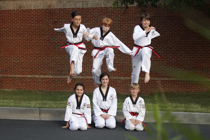 Dae Han Martial Arts Picture 2