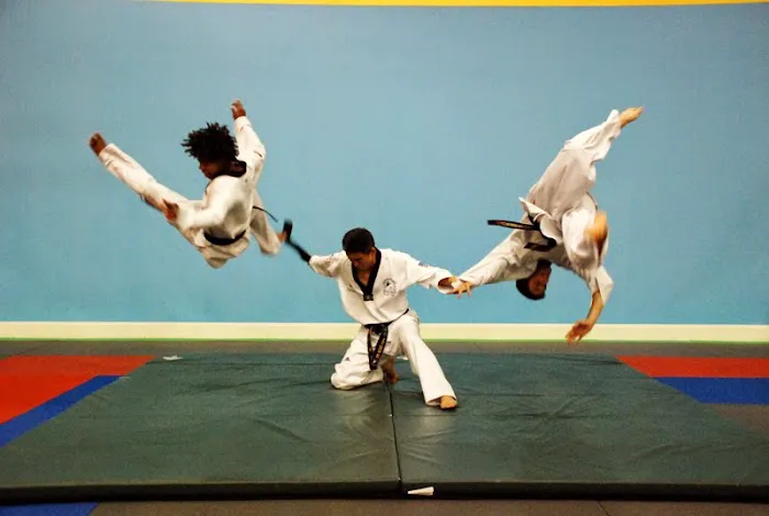 Dae Han Martial Arts Picture 4