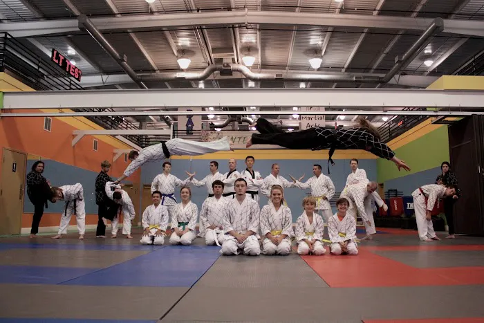 Dae Han Martial Arts Picture 6