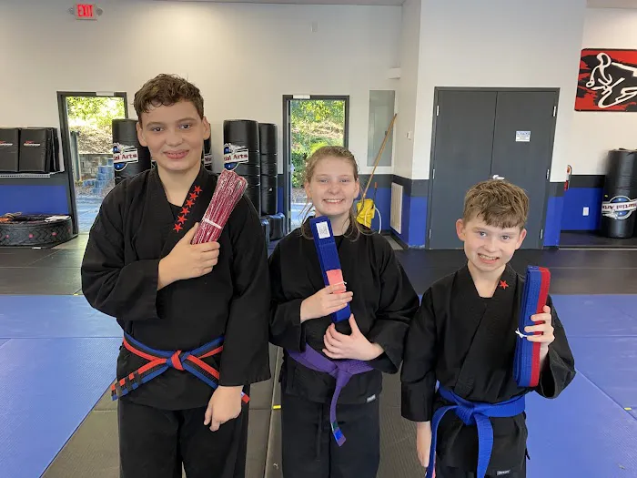 Championship Martial Arts- Mcdonough Picture 3