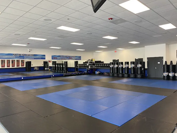 Championship Martial Arts- Mcdonough Picture 4