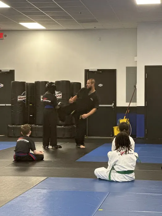 Championship Martial Arts- Mcdonough Picture 5