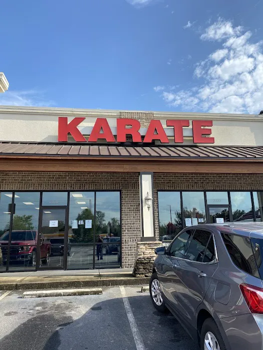 Championship Martial Arts- Mcdonough Picture 9