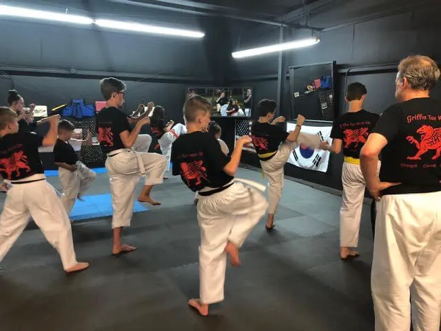 Griffin Martial Arts Center Picture 7