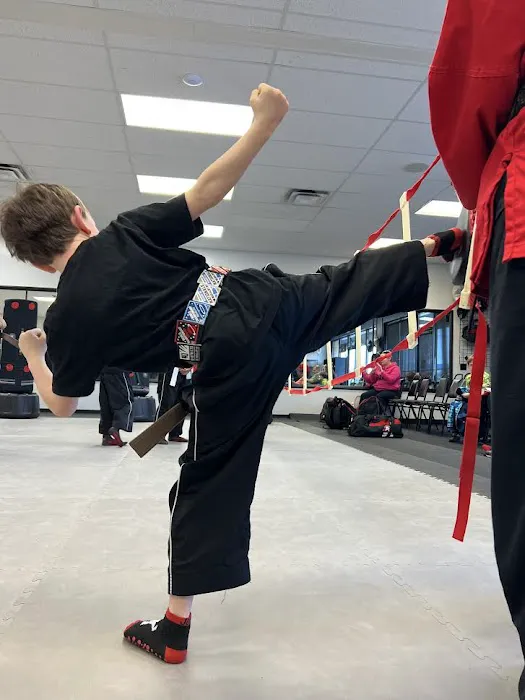 Tiger-Rock Martial Arts of Dallas, GA Picture 1