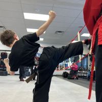 Tiger-Rock Martial Arts of Dallas, GA ico