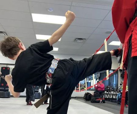 Tiger-Rock Martial Arts of Dallas, GA