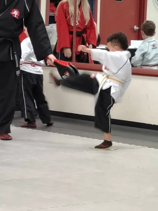 Tiger-Rock Martial Arts of Dallas, GA Picture 3