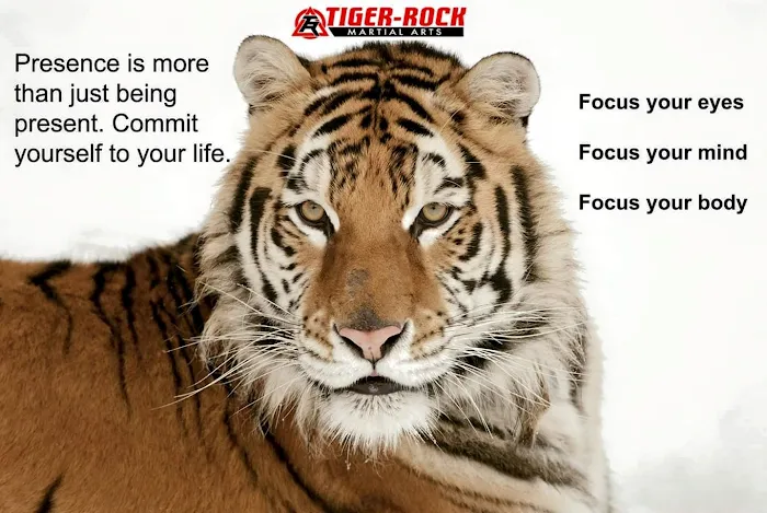 Tiger-Rock Martial Arts of Dallas, GA Picture 9