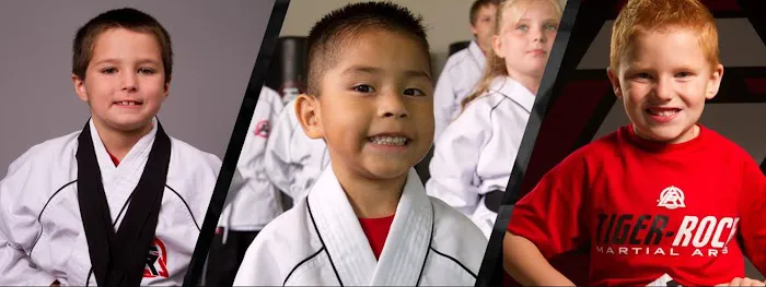 Tiger-Rock Martial Arts of Dallas, GA Picture 5