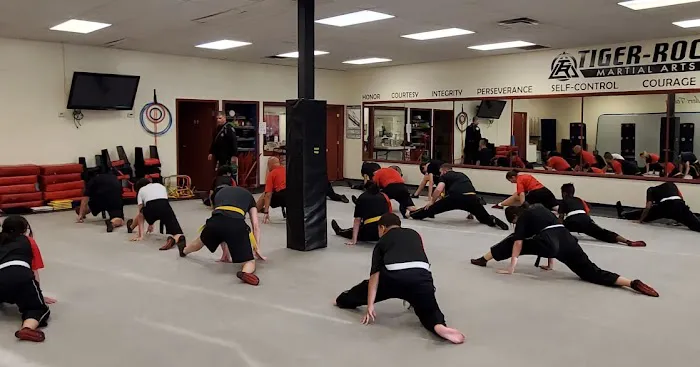 Tiger-Rock Martial Arts of Dallas, GA Picture 8