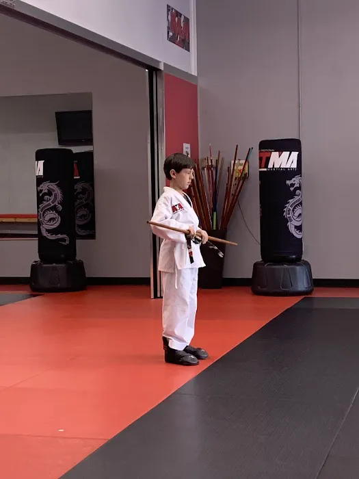 Inspiration Martial Arts Kennesaw Picture 1