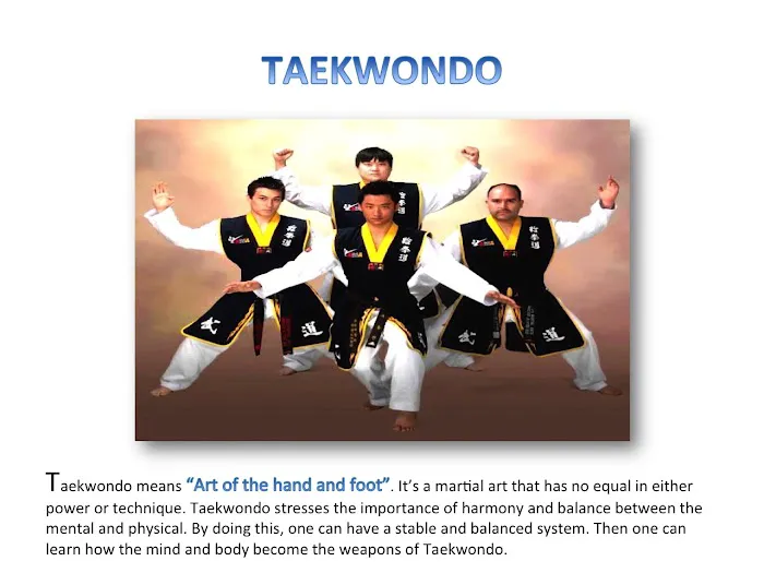 Master Lee's Top Martial Arts Picture 9