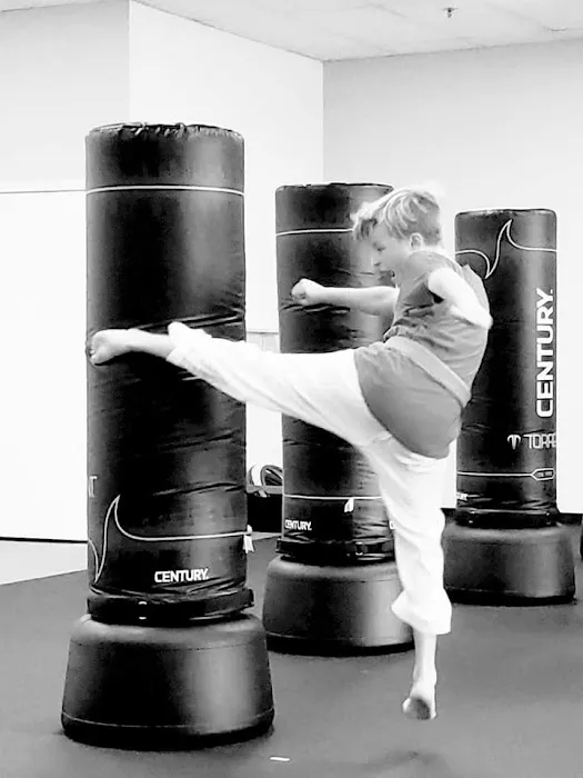 New Vision Sambo Picture 10