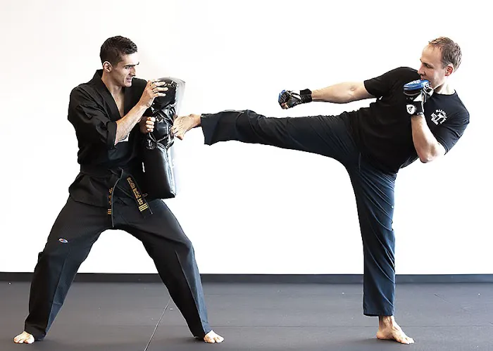 New Vision Sambo Picture 9