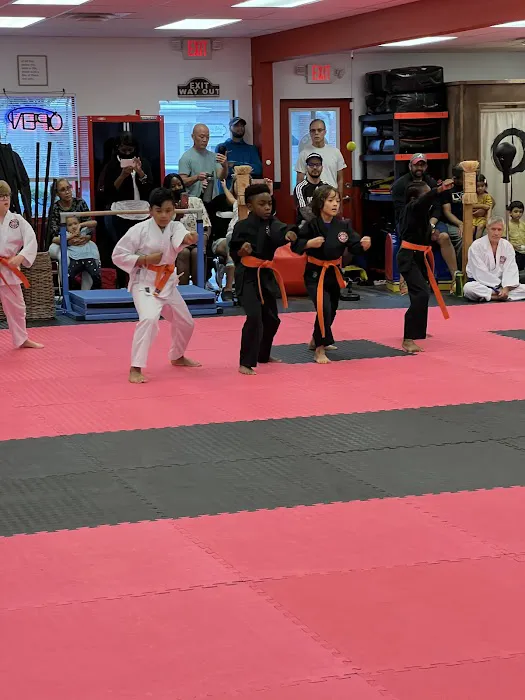 Lozo Karate Picture 5