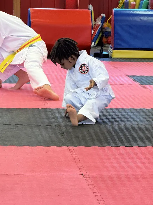 Lozo Karate Picture 4